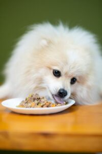 aunatural-comida-natural-pet-11-682x1024